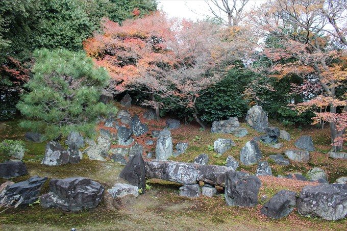 44圓徳院の北庭