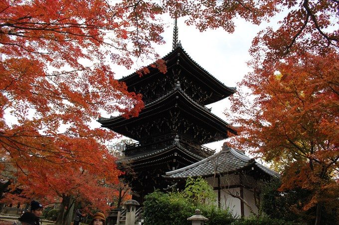 6三重塔と紅葉