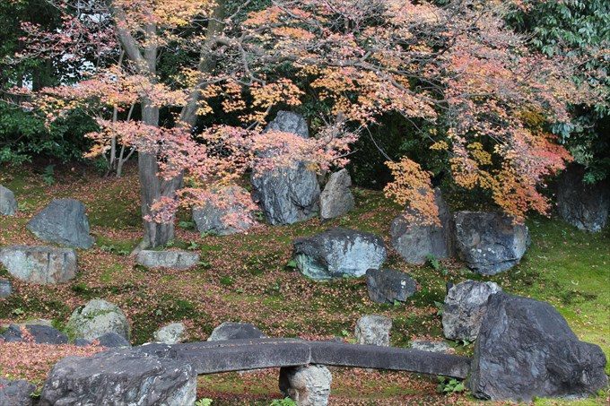 45圓徳院の北庭アップ