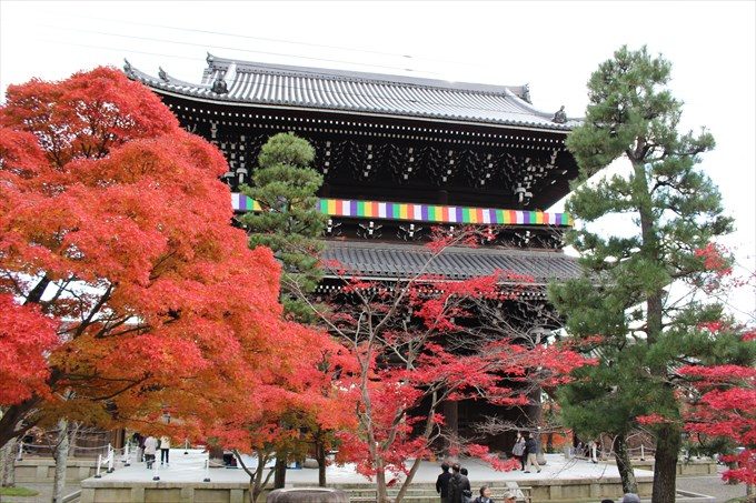 15山門と紅葉(内側から)
