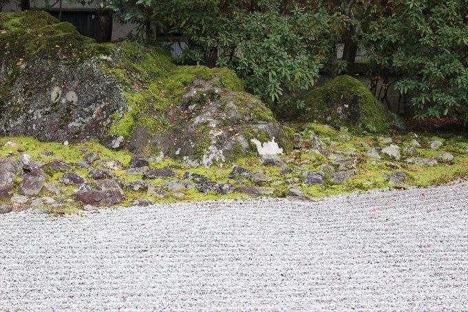 21方丈の南庭アップ