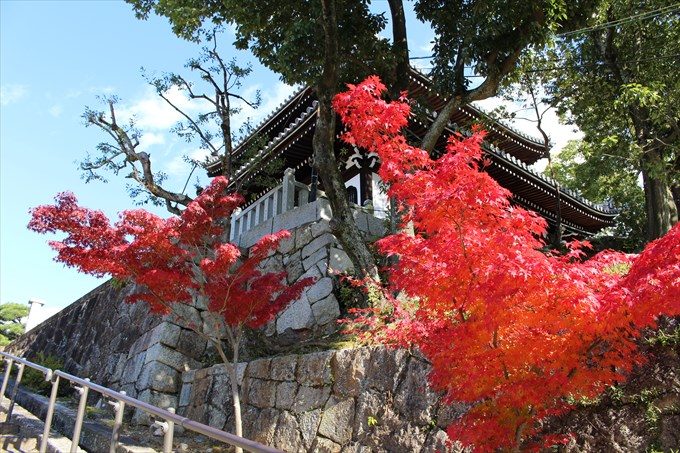 18階段横にキレイな紅葉(後ろは納骨堂)