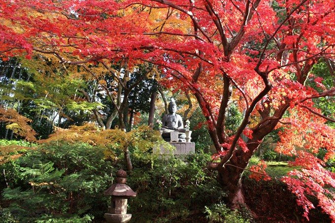 68紅葉と仏様
