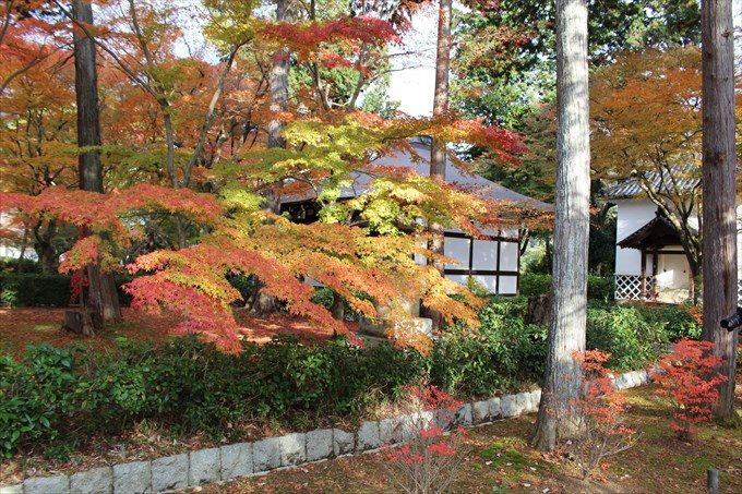 43万霊堂と紅葉