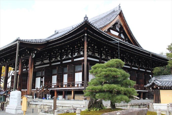 32御影堂(右側)と鎧掛けの松