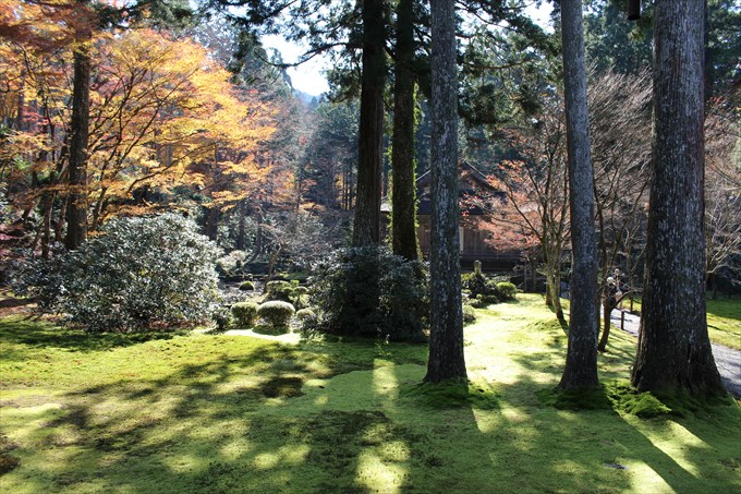 大原三千院の紅葉！見頃はいつ？限定の御朱印も♪