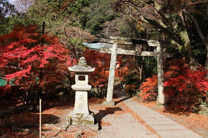 40弁天堂の鳥居