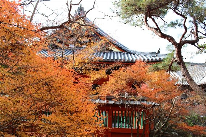 42本堂と紅葉