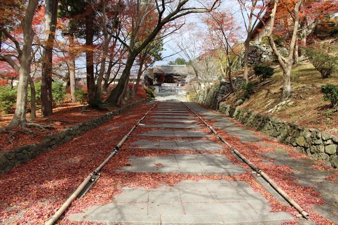 毘沙門堂の紅葉！見頃はいつ？御朱印も頂きました！