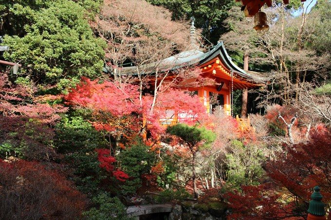 25本堂北側から弁天堂