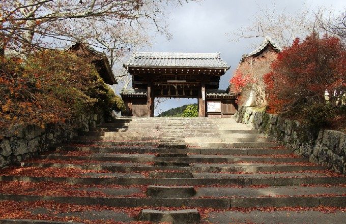 5薬医門を下から