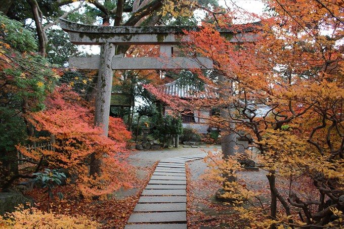 44鳥居(内側から)