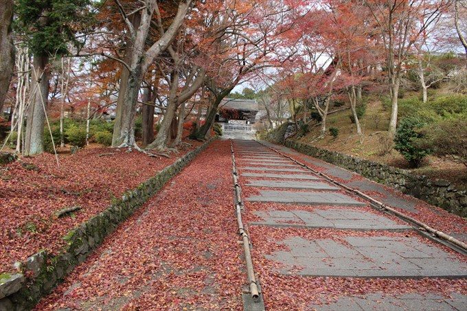 9毘沙門堂の勅使坂