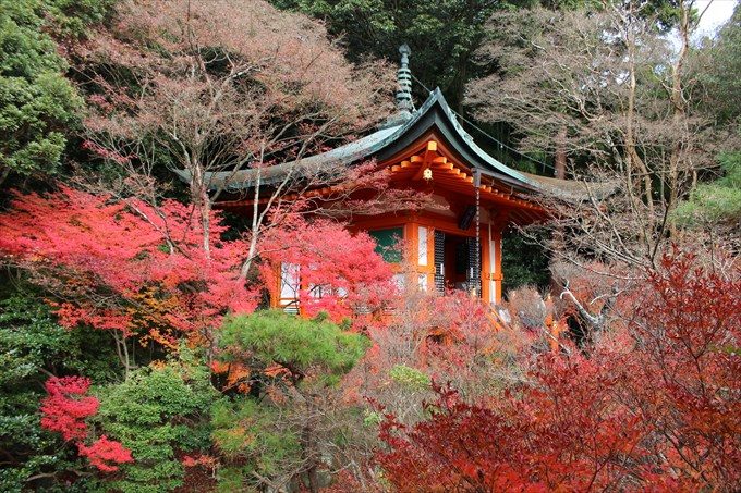 24本堂北側から弁天堂