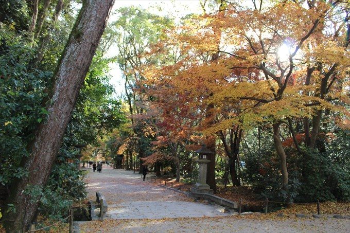 01正面鳥居前の紅葉