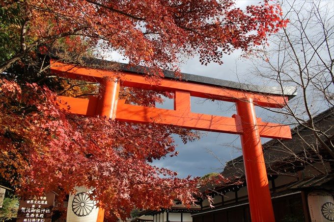 01駐車場付近の鳥居と紅葉2