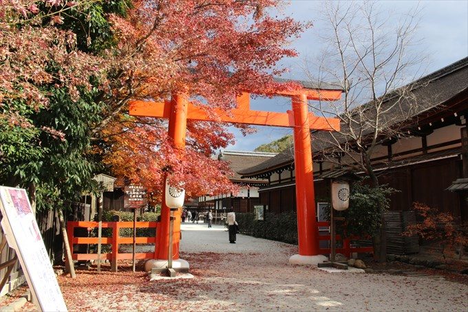 01駐車場付近の鳥居と紅葉