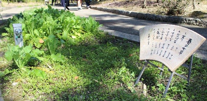 29春の七草