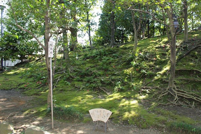 33城南椿