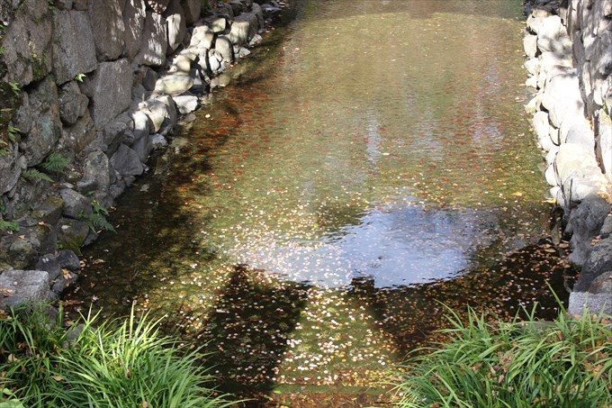 37川にはお賽銭
