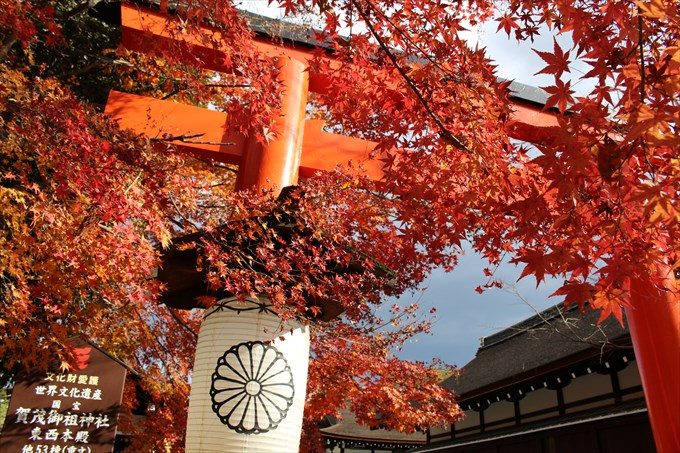 01駐車場付近の鳥居と紅葉3