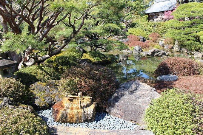 53手水と池