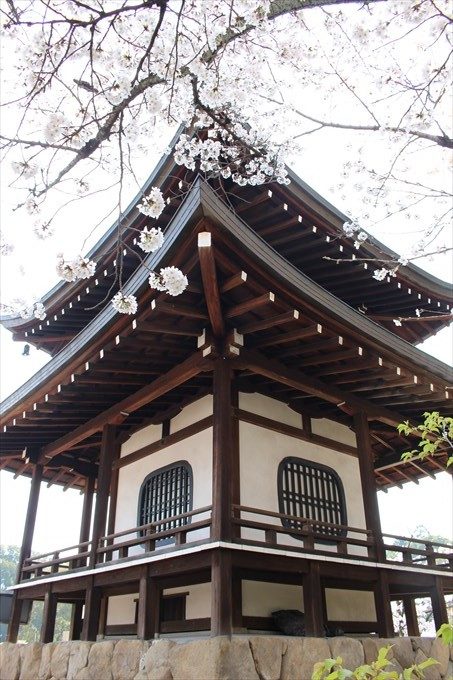 31大悲閣を後ろから