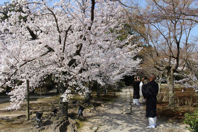 55お坊さんも撮影