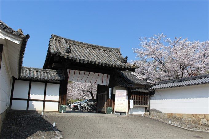 5勧修寺の山門