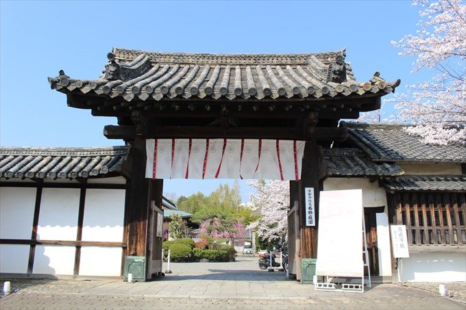 6勧修寺の山門