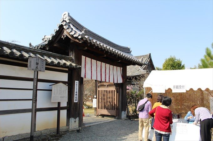 12勅使門?と拝観受付