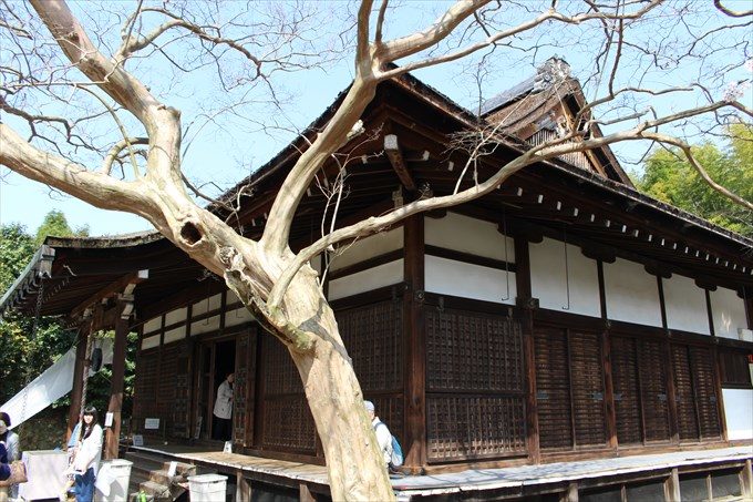 56本堂側面