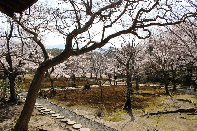 60本堂から見た庭園