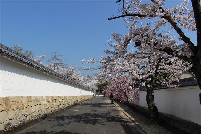 2勧修寺の参道と築地塀