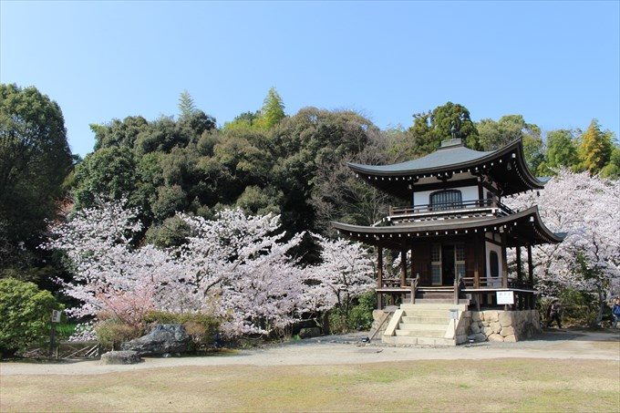 勧修寺の桜 一番の見頃はいつ 御朱印も頂きました 京都をぶらり お寺 神社 御朱印のブログ