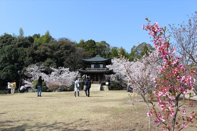 26引いて撮ると人が写る
