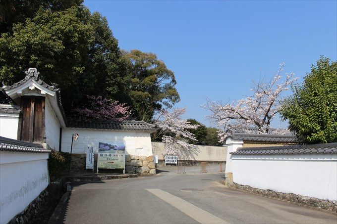 1勧修寺参道