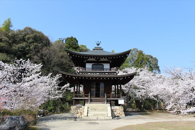 20勧修寺の観音堂