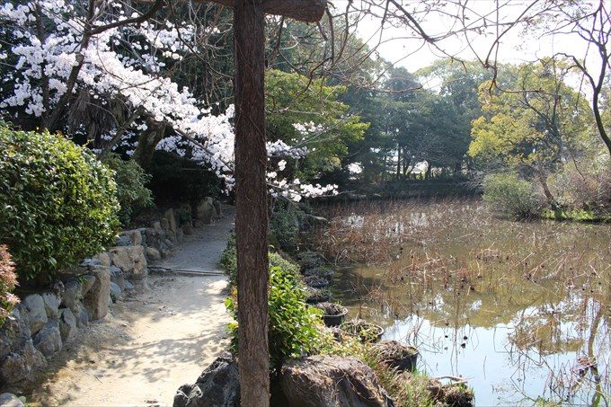 34氷室池散策
