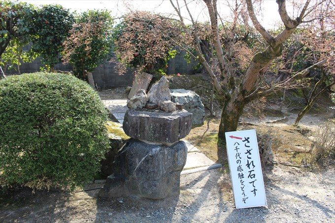 14さざれ石