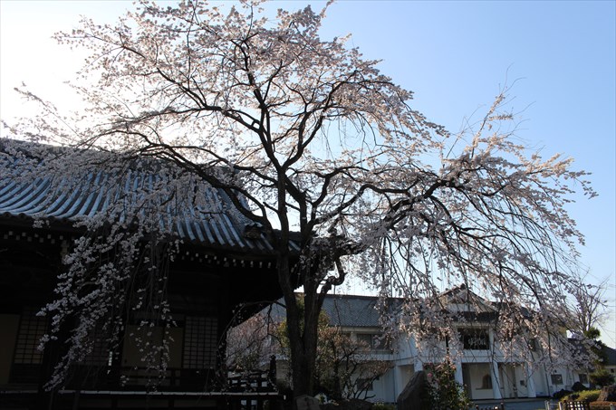 36修行道場(右)