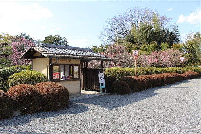 2随心院の梅林左側から
