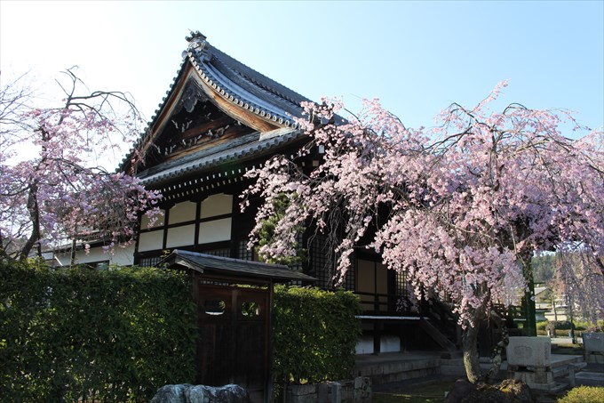 33妙満寺の大書院