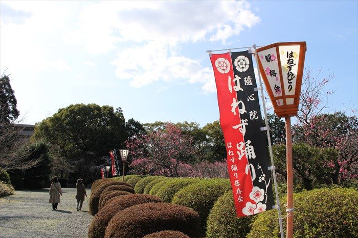 27はねず踊りののぼり
