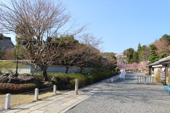 4山門をくぐって右側