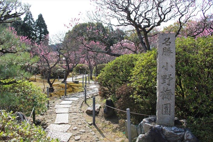 4小野梅林入ったところ