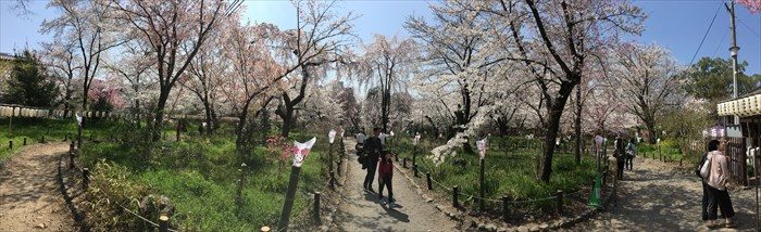 43桜苑をパノラマで