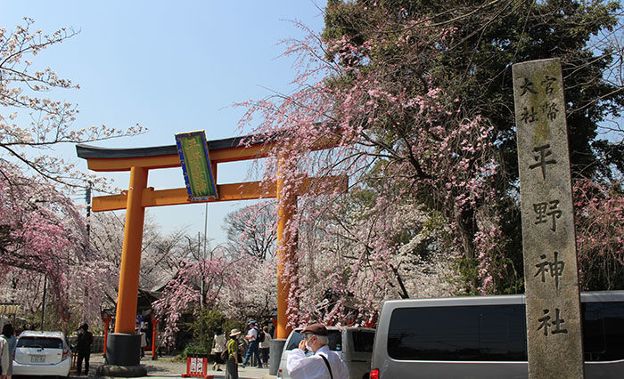 1平野神社の正面鳥居