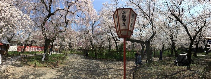 平野神社の桜 見頃はいつ 御朱印も頂きました 京都をぶらり お寺 神社 御朱印のブログ