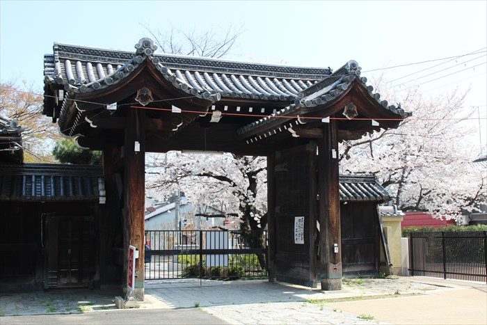 5立本寺正門を内側から